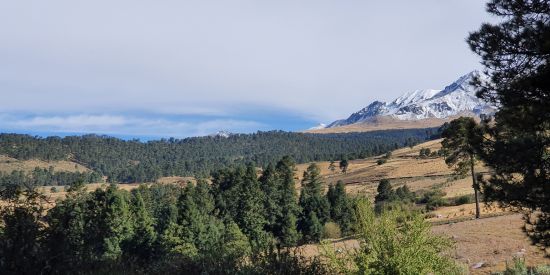 ecoturismo una nueva forma de viajar