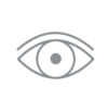 THROUGH THE EYES