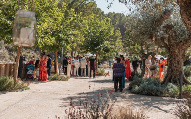 celebracion boda jardin alicante