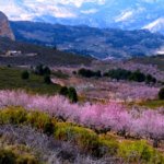 Sierra Aitana primavera Vivood