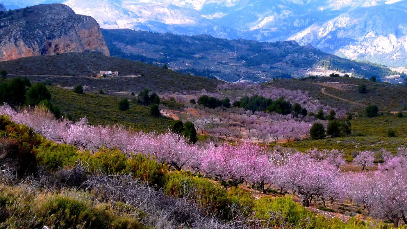 Sierra Aitana primavera Vivood
