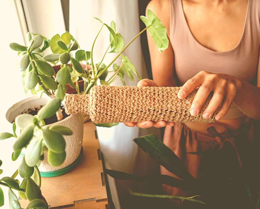 Regando las plantas - Tendencia sostenible
