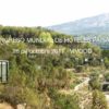 congreso hoteles paisaje Alicante Hotel Vivood