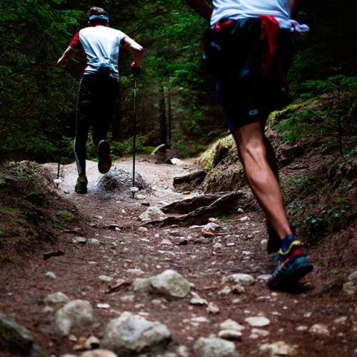 Deporte de montaña Hotel Vivood