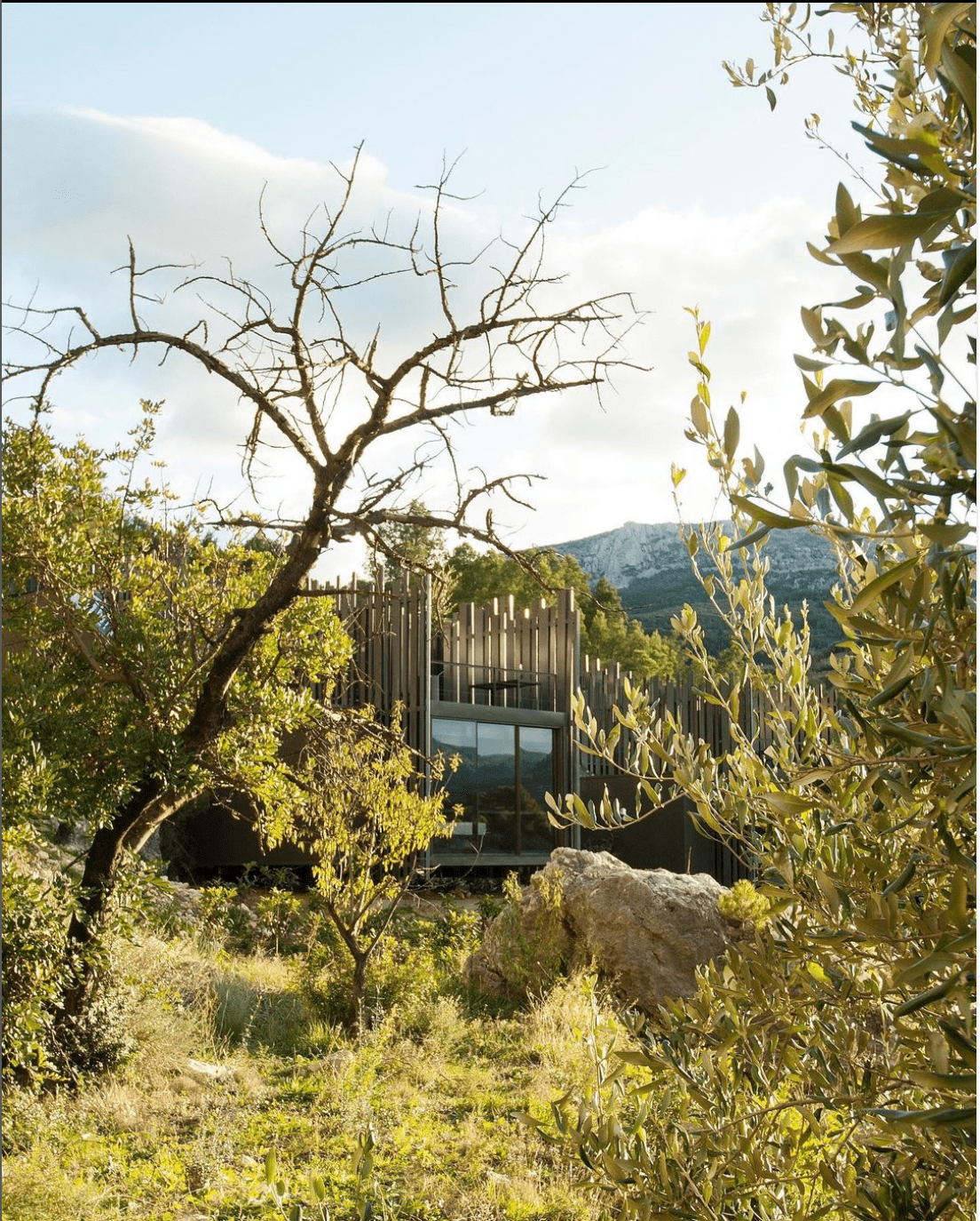 Disfruta del espectacular diseño del Hotel VIVOOD