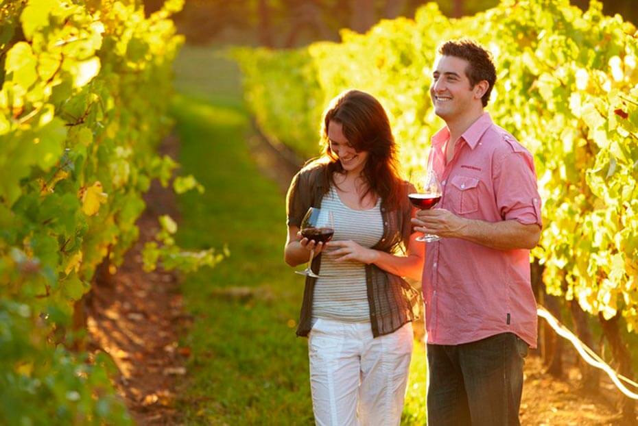 excursión a bodegas Hotel Vivood