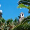 Hotel Vivood guadalest palmeras paisaje