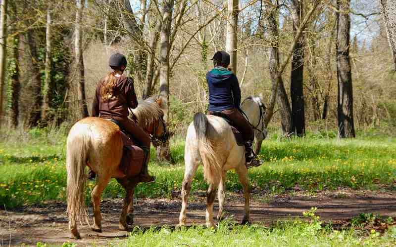Montar a caballo cerca de toprural