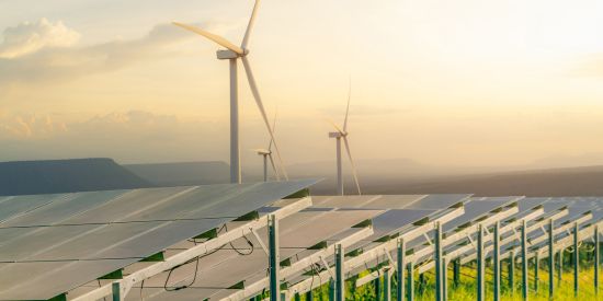 Sostenibilidad ambiental