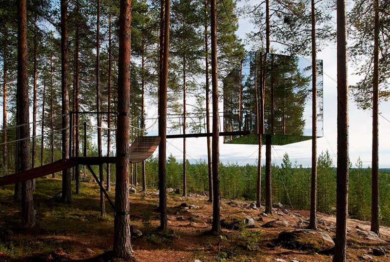 Tree hotel Tree hotel