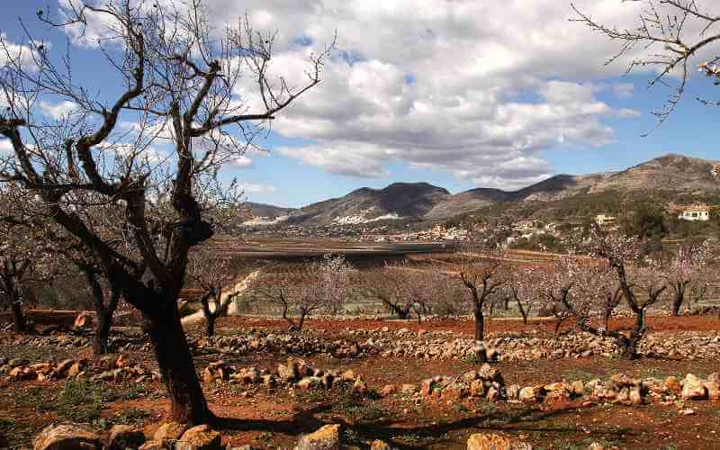 Paisajes rurales de Alicante